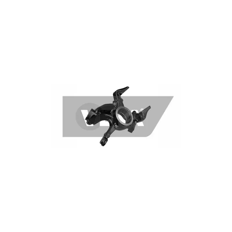 DYS 79-03900R Muñón del eje, suspensión de rueda