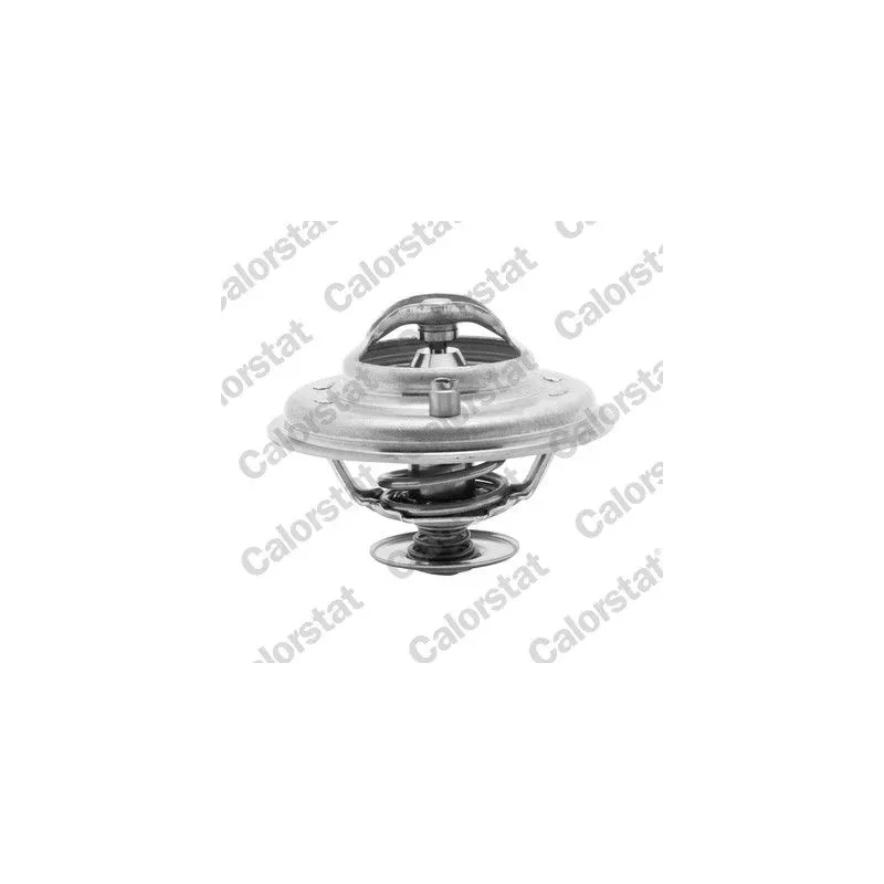 CALORSTAT by Vernet TH5973.87J Termostato, refrigerante