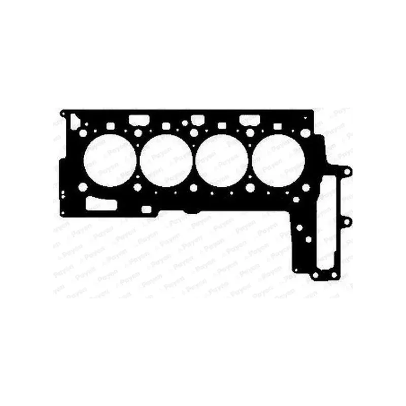 PAYEN AG5020 Juntas de culatas