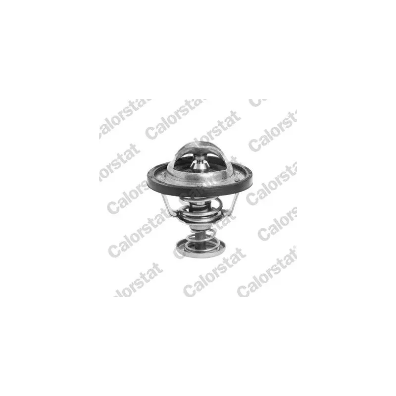 CALORSTAT by Vernet TH6295.76J Termostato, refrigerante
