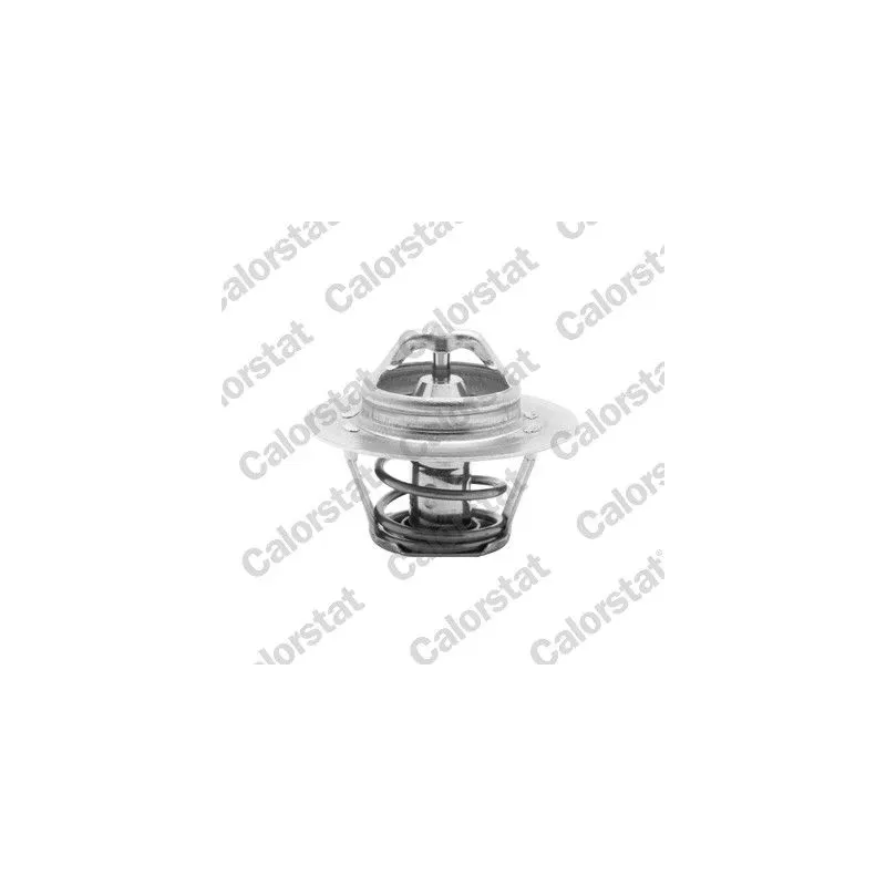 CALORSTAT by Vernet TH5955.88J Termostato, refrigerante