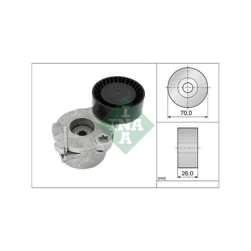 INA SCHAEFFLER 534063010 Tensor de correa
