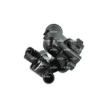 NRF 725045 Termostato, refrigerante