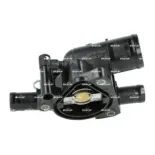 NRF 725045 Termostato, refrigerante