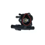 NRF 725045 Termostato, refrigerante