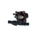 NRF 725045 Termostato, refrigerante