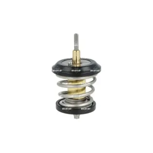 NRF 725250 Termostato, refrigerante