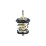 NRF 725250 Termostato, refrigerante