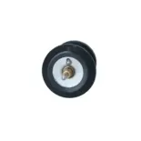 NRF 725250 Termostato, refrigerante