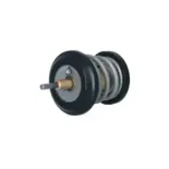 NRF 725250 Termostato, refrigerante