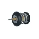 NRF 725250 Termostato, refrigerante