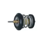 NRF 725250 Termostato, refrigerante