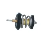 NRF 725250 Termostato, refrigerante