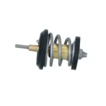 NRF 725250 Termostato, refrigerante