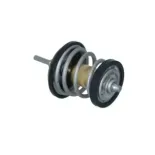 NRF 725250 Termostato, refrigerante