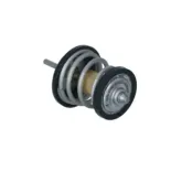 NRF 725250 Termostato, refrigerante