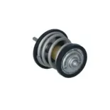 NRF 725250 Termostato, refrigerante