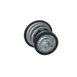 NRF 725250 Termostato, refrigerante