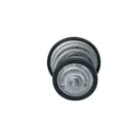 NRF 725250 Termostato, refrigerante