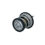 NRF 725250 Termostato, refrigerante