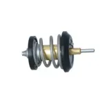 NRF 725250 Termostato, refrigerante