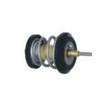 NRF 725250 Termostato, refrigerante