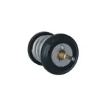 NRF 725250 Termostato, refrigerante