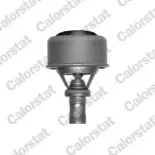 CALORSTAT by Vernet TH4495.89 Termostato, refrigerante