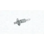 MAGNETI MARELLI 002551100000 Lámpara