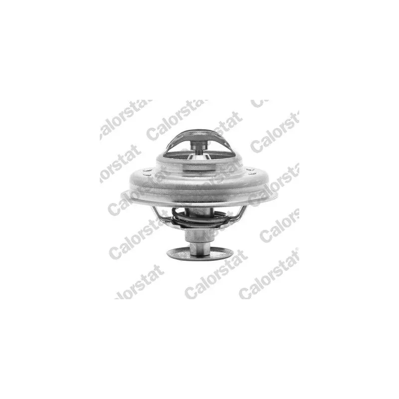 CALORSTAT by Vernet TH4947.81J Termostato, refrigerante
