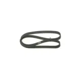 BOSCH 1987946054 Correa trapecial poli V