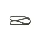 BOSCH 1987946054 Correa trapecial poli V