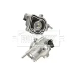 BORG & BECK BBT136 Termostato, refrigerante