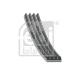FEBI BILSTEIN 178934 Correa trapecial poli V