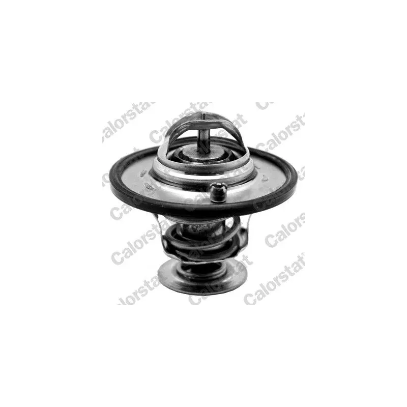 CALORSTAT by Vernet TH7341.82J Termostato, refrigerante