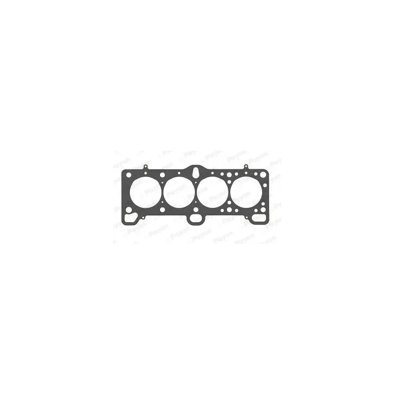 PAYEN AG6040 Junta, culata
