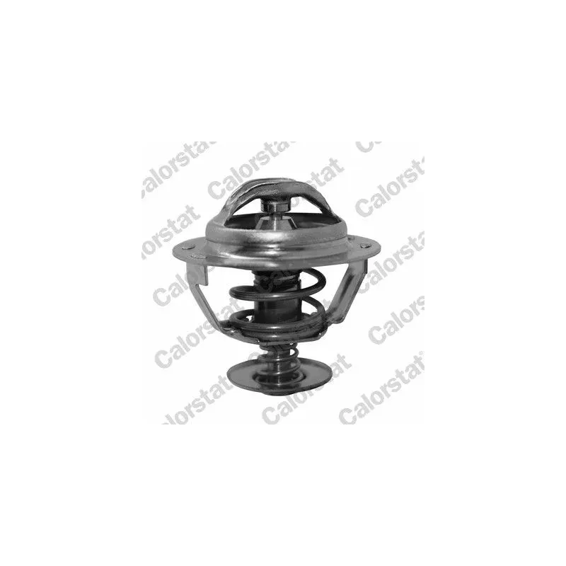 CALORSTAT by Vernet TH5130.83J Termostato, refrigerante