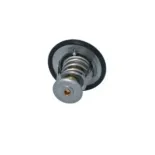 NRF 725118 Termostato, refrigerante