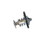 NRF 725118 Termostato, refrigerante
