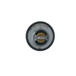 NRF 725118 Termostato, refrigerante