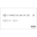 CORTECO 19037264 Tubo flexible de frenos
