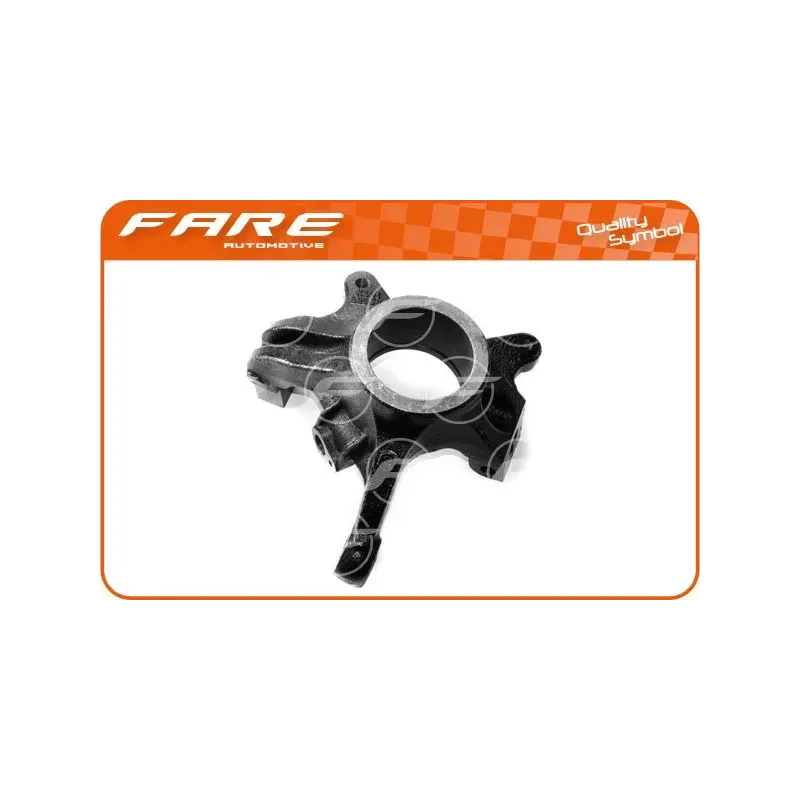 FARE SA 13725 Muñón del eje, suspensión de rueda