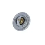 NRF 725212 Termostato, refrigerante