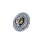 NRF 725212 Termostato, refrigerante