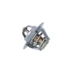 NRF 725212 Termostato, refrigerante