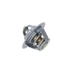 NRF 725212 Termostato, refrigerante