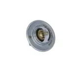 NRF 725212 Termostato, refrigerante