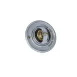 NRF 725212 Termostato, refrigerante