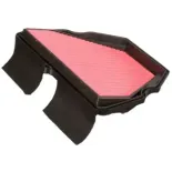 Filtro de aire Champion para moto Honda CAF0619