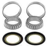 Kit de rodamientos y Reténes de dirección All Balls 22-1039